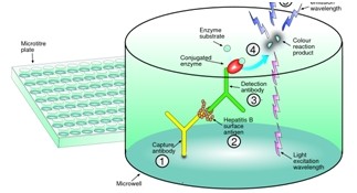 時(shí)間分辨熒光微孔板超敏檢測技術(shù)